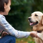 Ways-to-Train-Your-Pet-to-Be-Alone-in-the-House