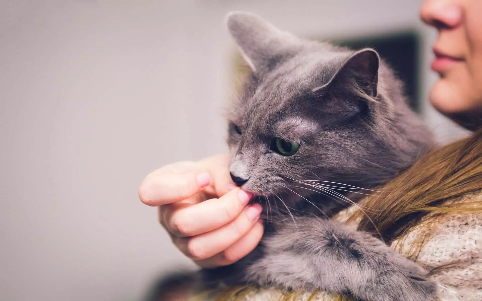 Why-My-Cat-Licks-Me-and-Then-Bites-Me