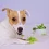 Fruits and Vegetables that are Safe for Your Dogs