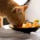People Foods that are Safe for Your Cat