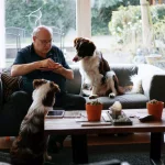 Hiring-a-Pet-Sitter-Instead