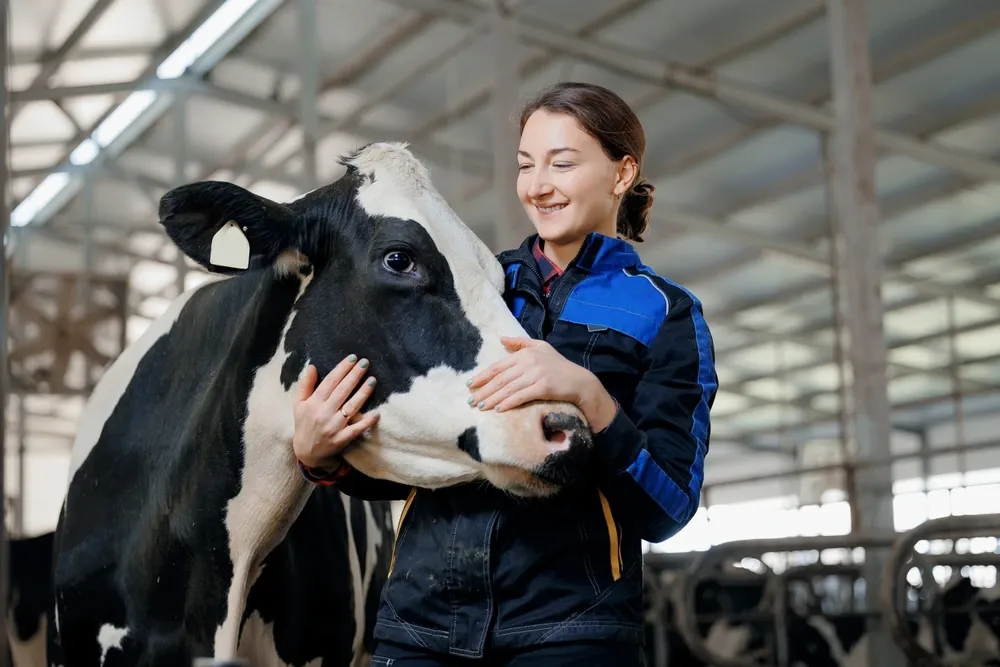 What Are 5 Interesting Facts About Cows What Are 5 Interesting Facts About Cows