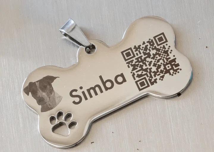 chapa perro personalizada