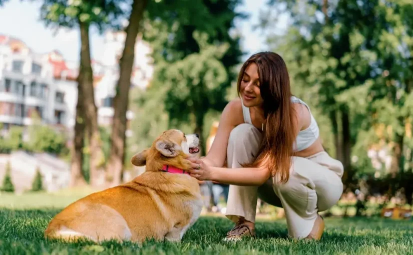 Calm Dog Breeds