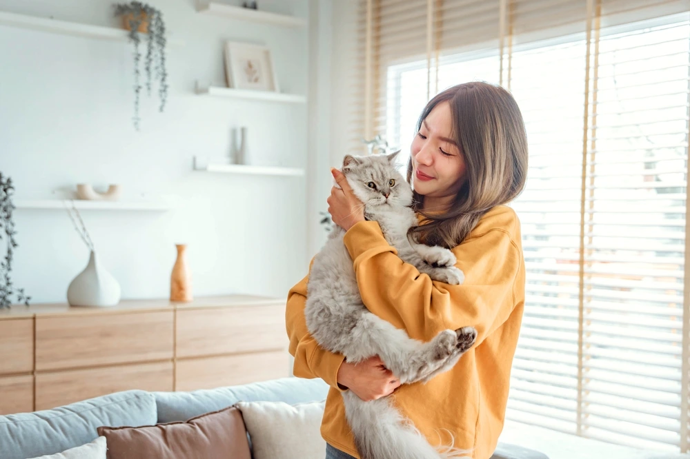 Cure Fading Kitten Syndrome Cure Fading Kitten Syndrome
