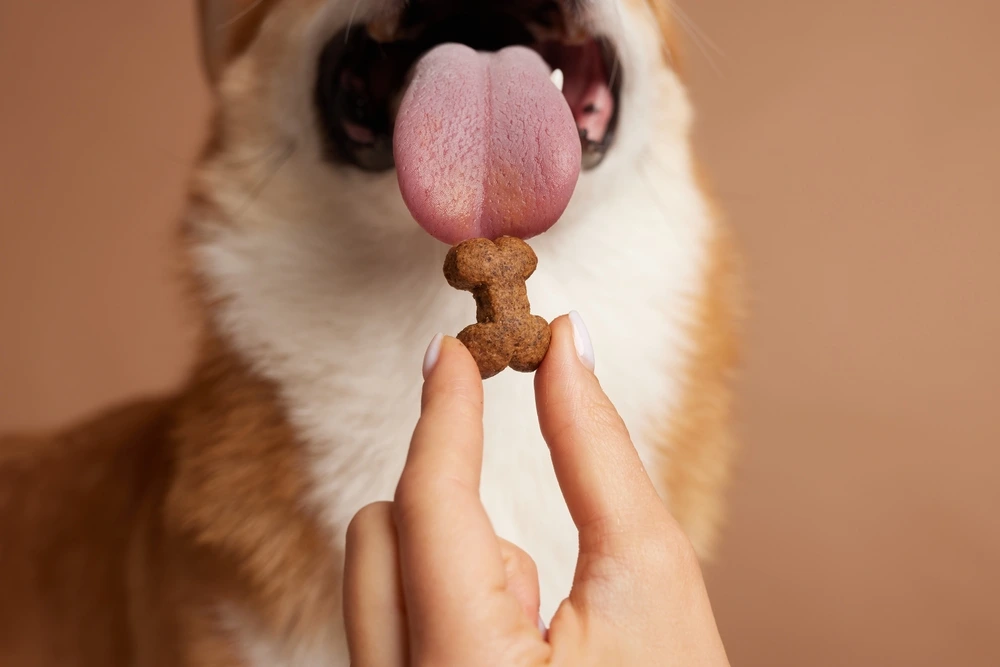 Healthy Dog Treats For Training Healthy Dog Treats For Training