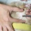 What Are Tick Diseases In Dogs And Should You Be Worried?