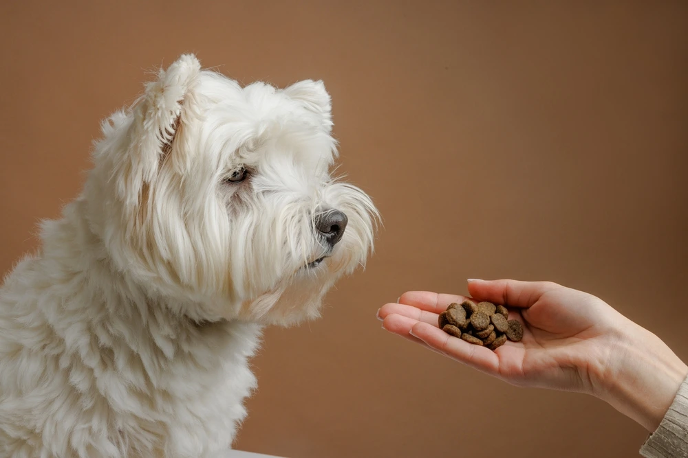 Hypoallergenic Dog Food Hypoallergenic Dog Food