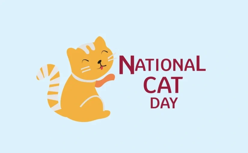 National Cat Day 2025