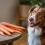 Are Carrots Good for Dogs? Nutrition, Benefits, and Feeding Guide