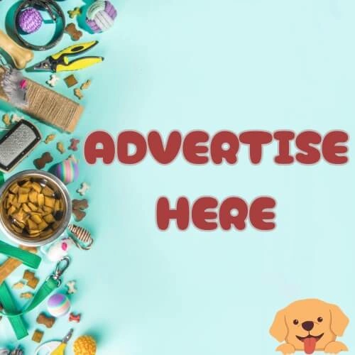 Pet Care Animals