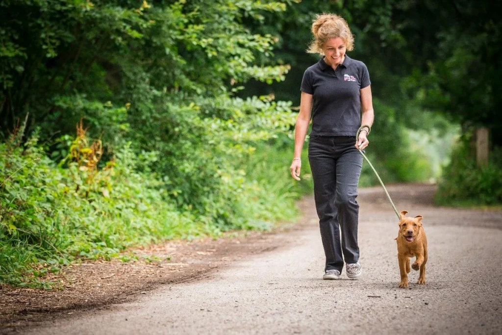 Dog Walker