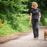 How to Find and Vet a Trustworthy Dog Walker for Your Pet Dog Walker