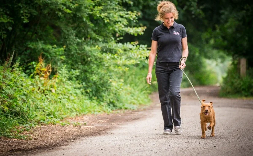Dog Walker